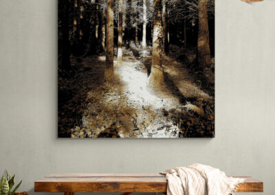 Forest photography wall art above a wooden bench with a blanket, nature art for home decor.