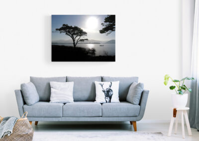 Living room with grey sofa, landscape art, and a houseplant. Home decor.