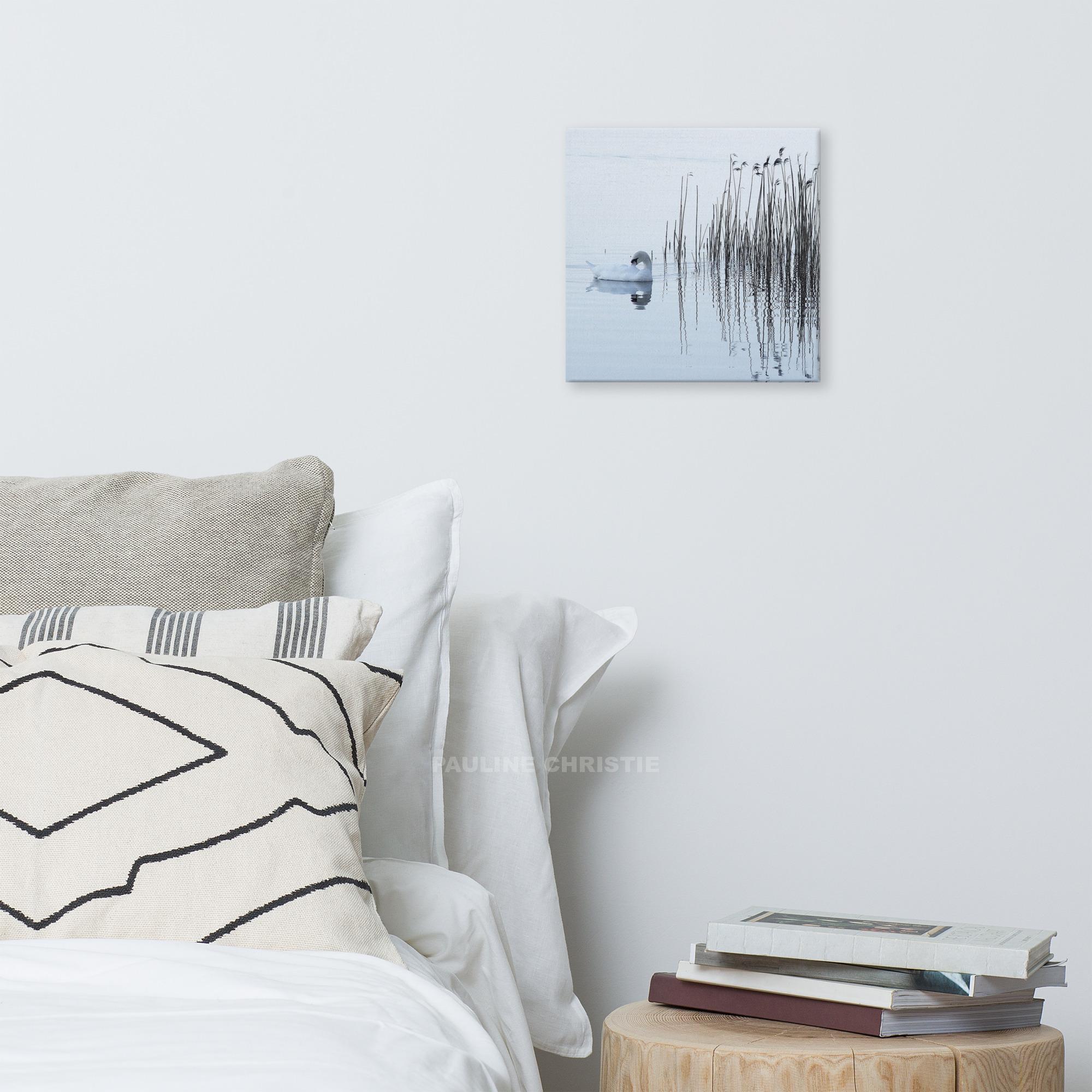 Swan swimming on Lough Leane, reeds in the background.