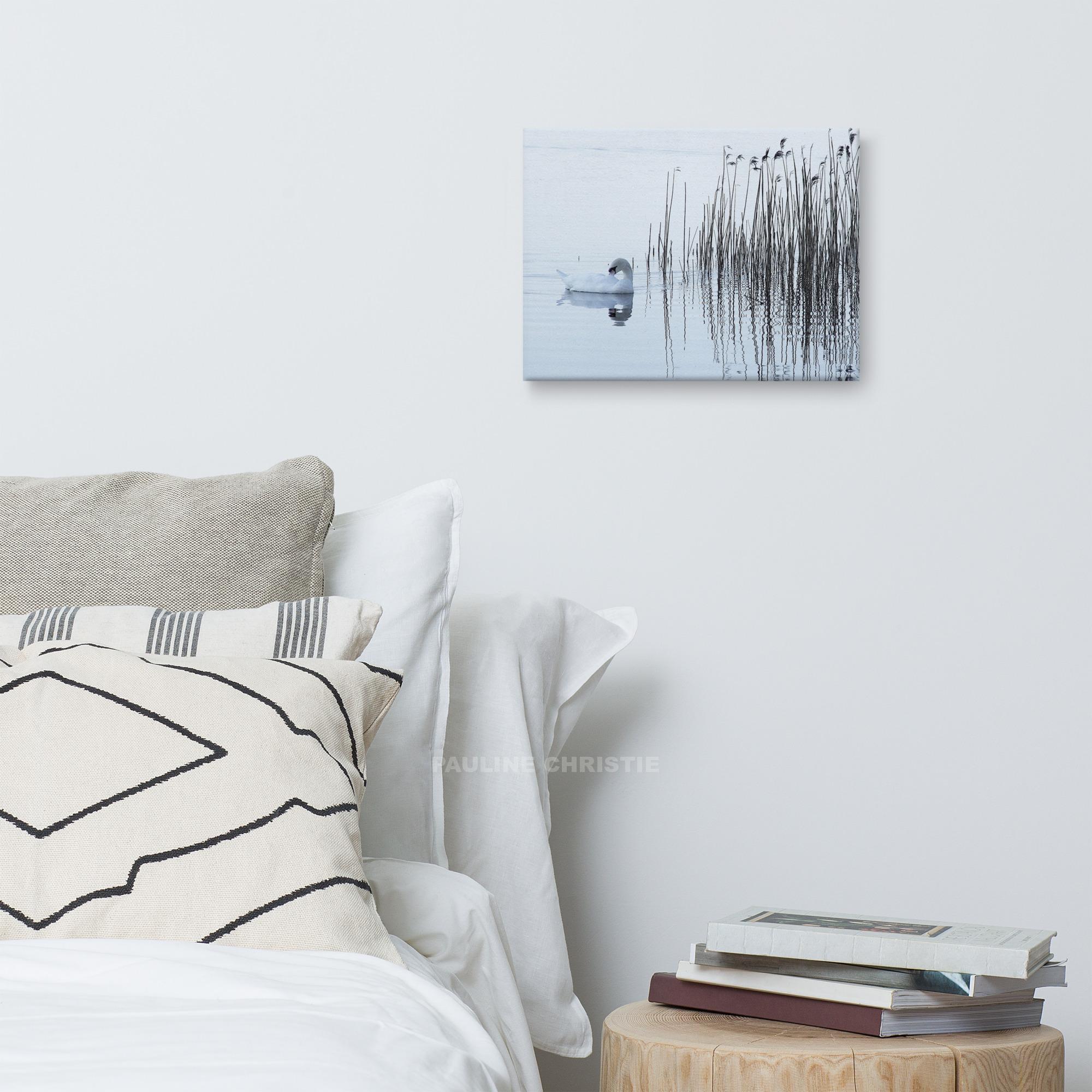 Swan swimming on Lough Leane, reeds in the background.