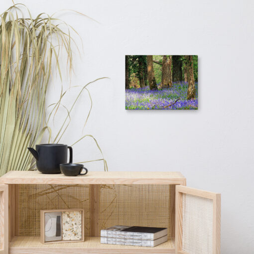 Bluebell Forest - Image 2