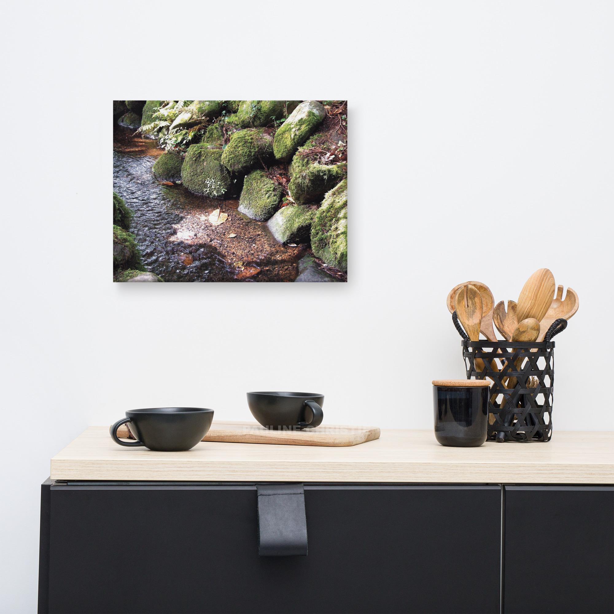 Stream in Killarney Forest