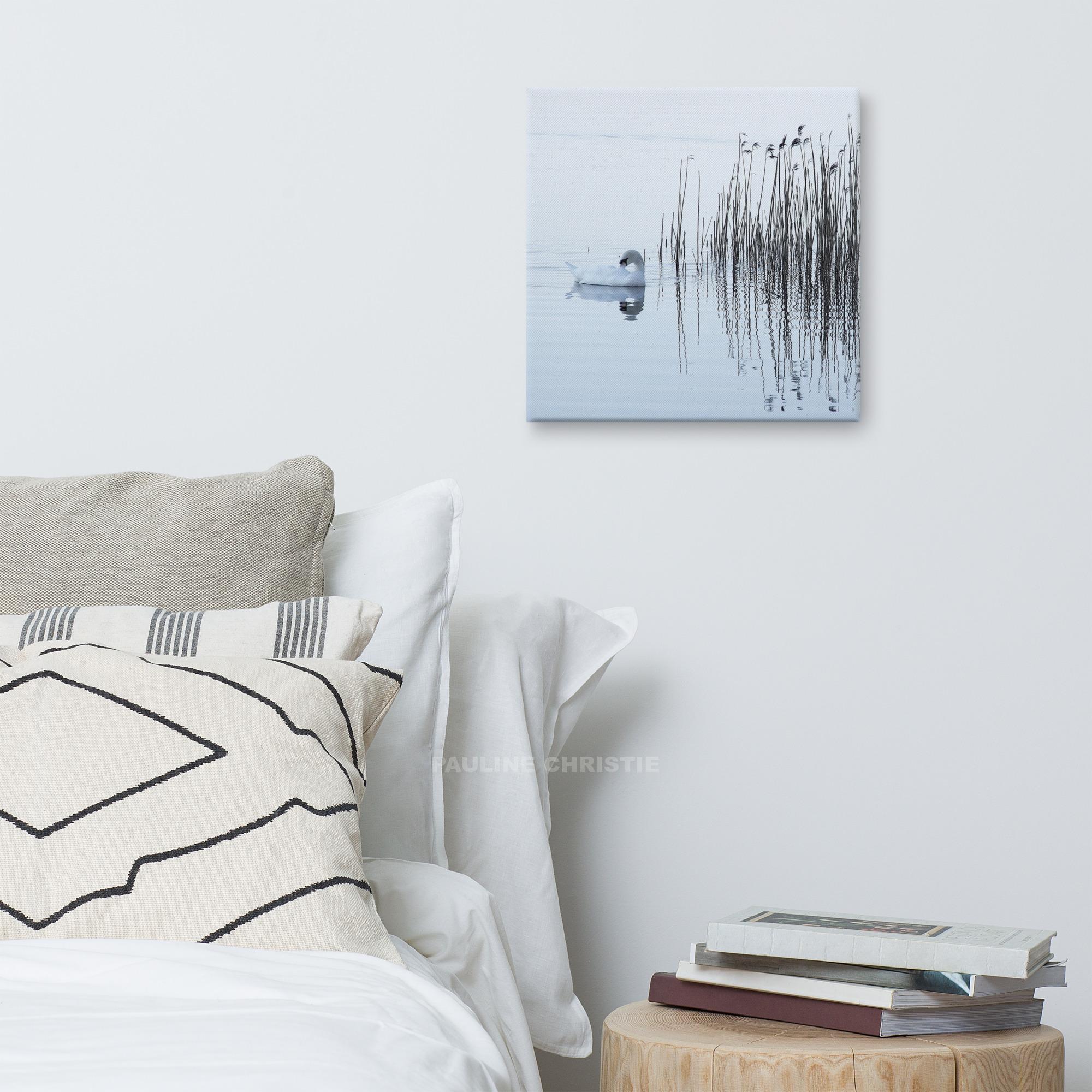Swan swimming on Lough Leane, reeds in the background.