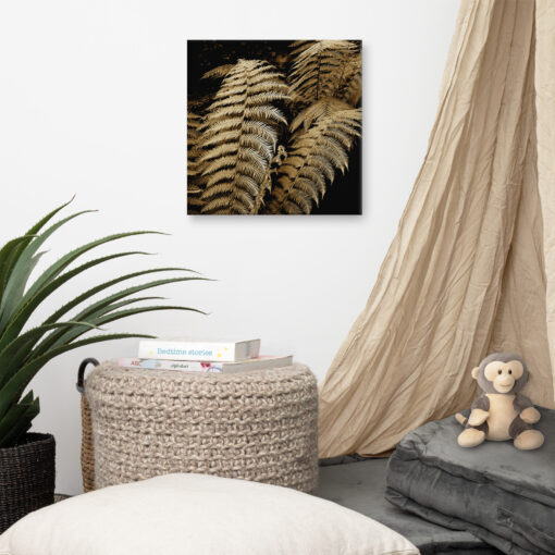 Ferns - Sheen Woods, Kenmare - Image 4