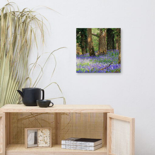 Bluebell Forest - Image 3