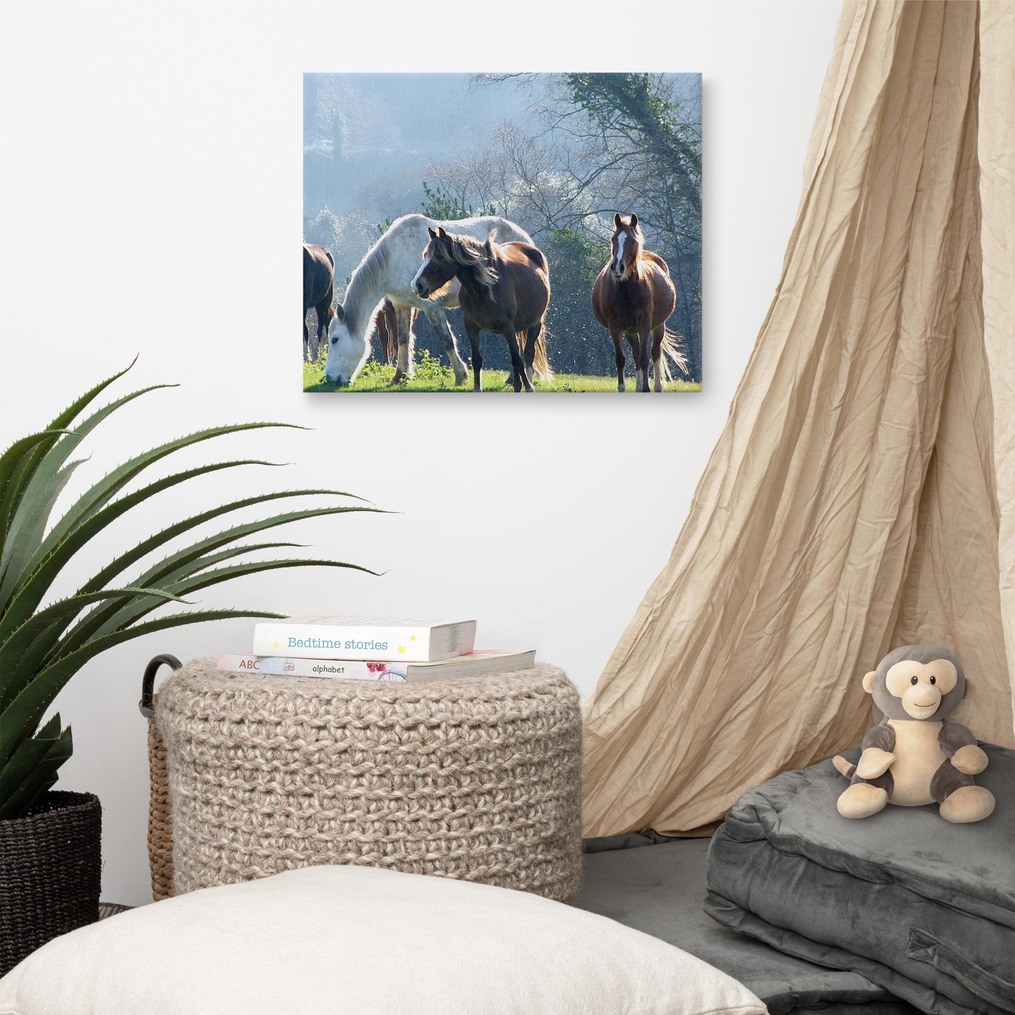 Canvas print of wild horses grazing in Kerry field, a beautiful nature scene.