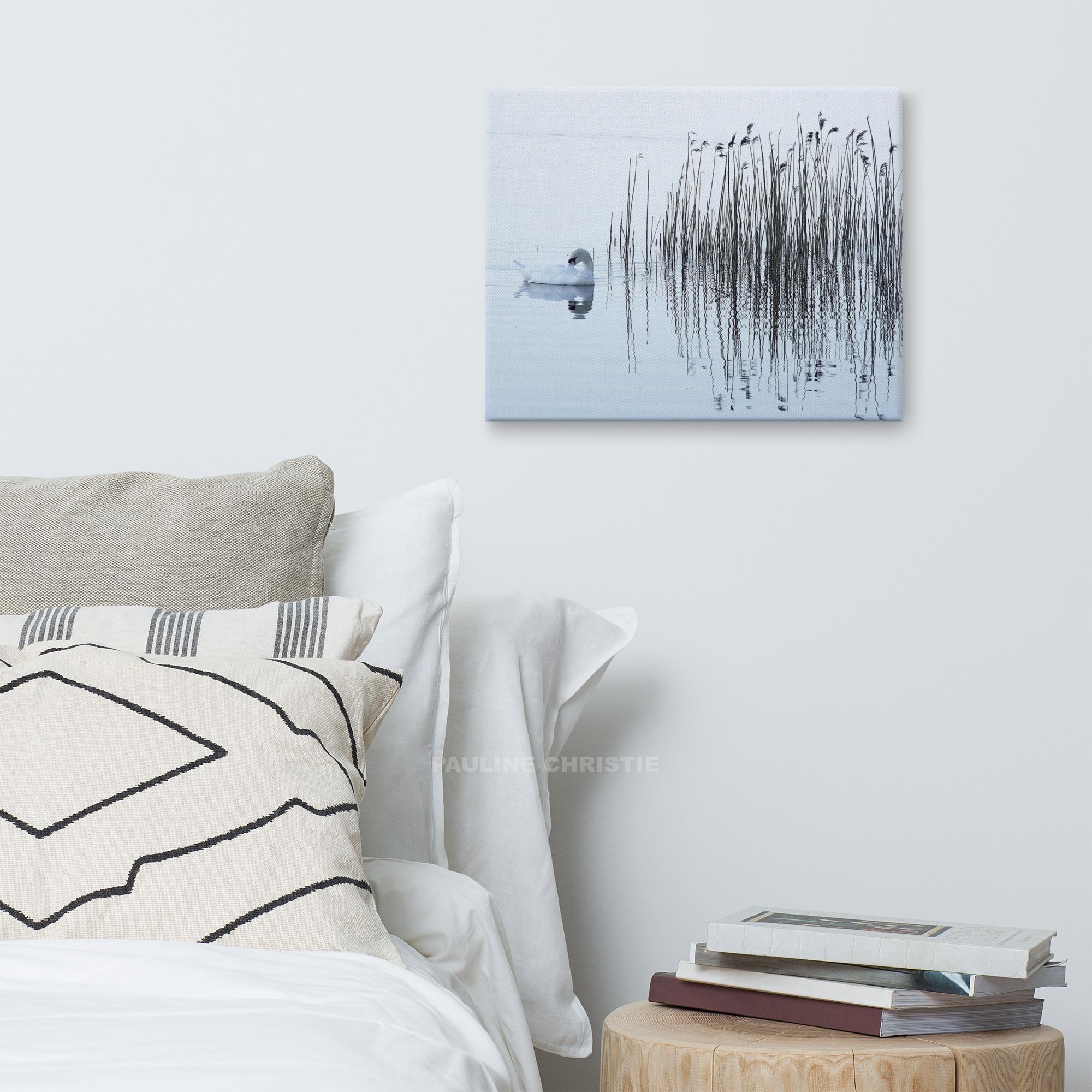 Swan swimming on Lough Leane, reeds in the background.