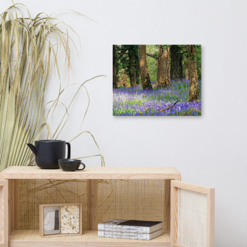 Bluebell Forest - Image 4