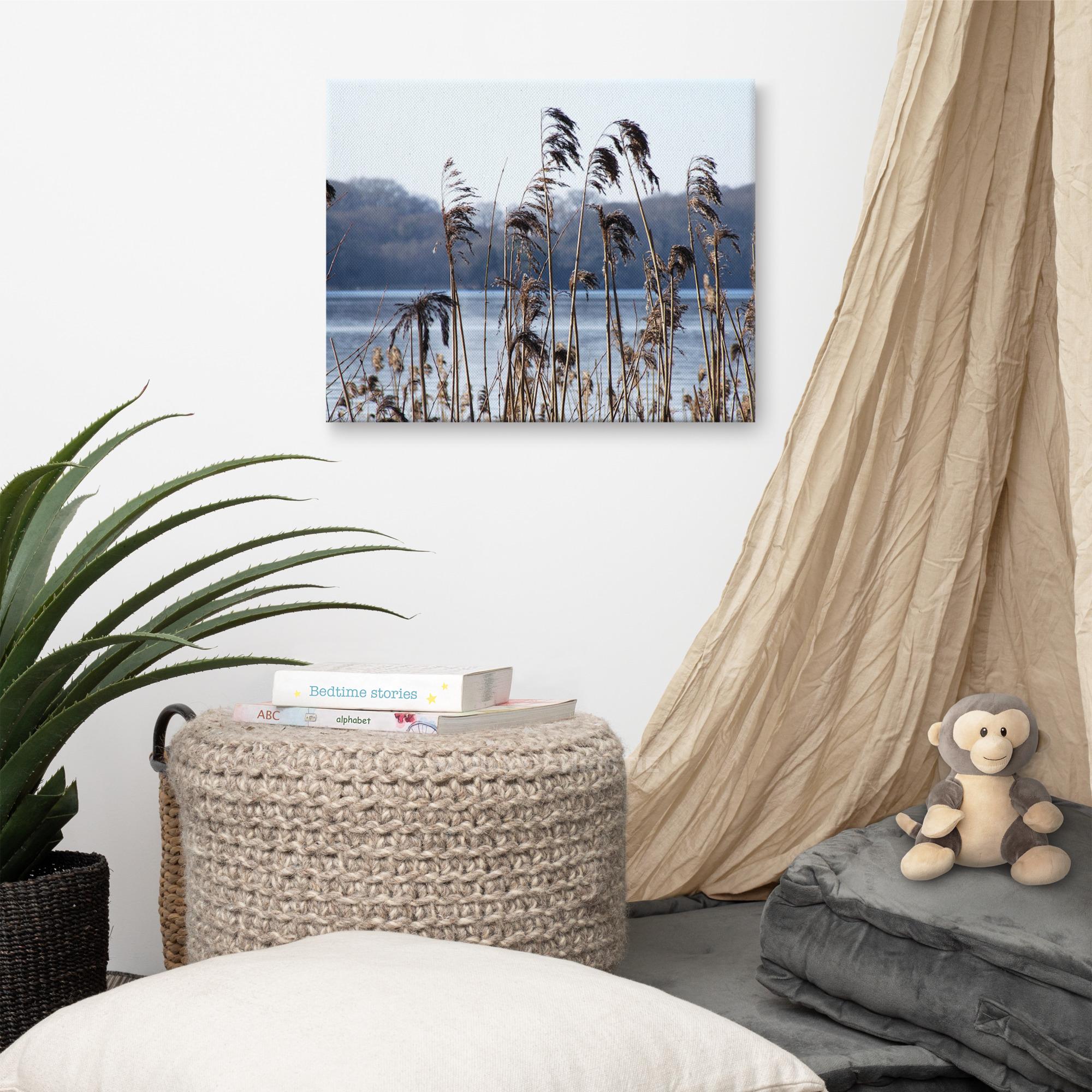 Reeds on Killarney Lakes