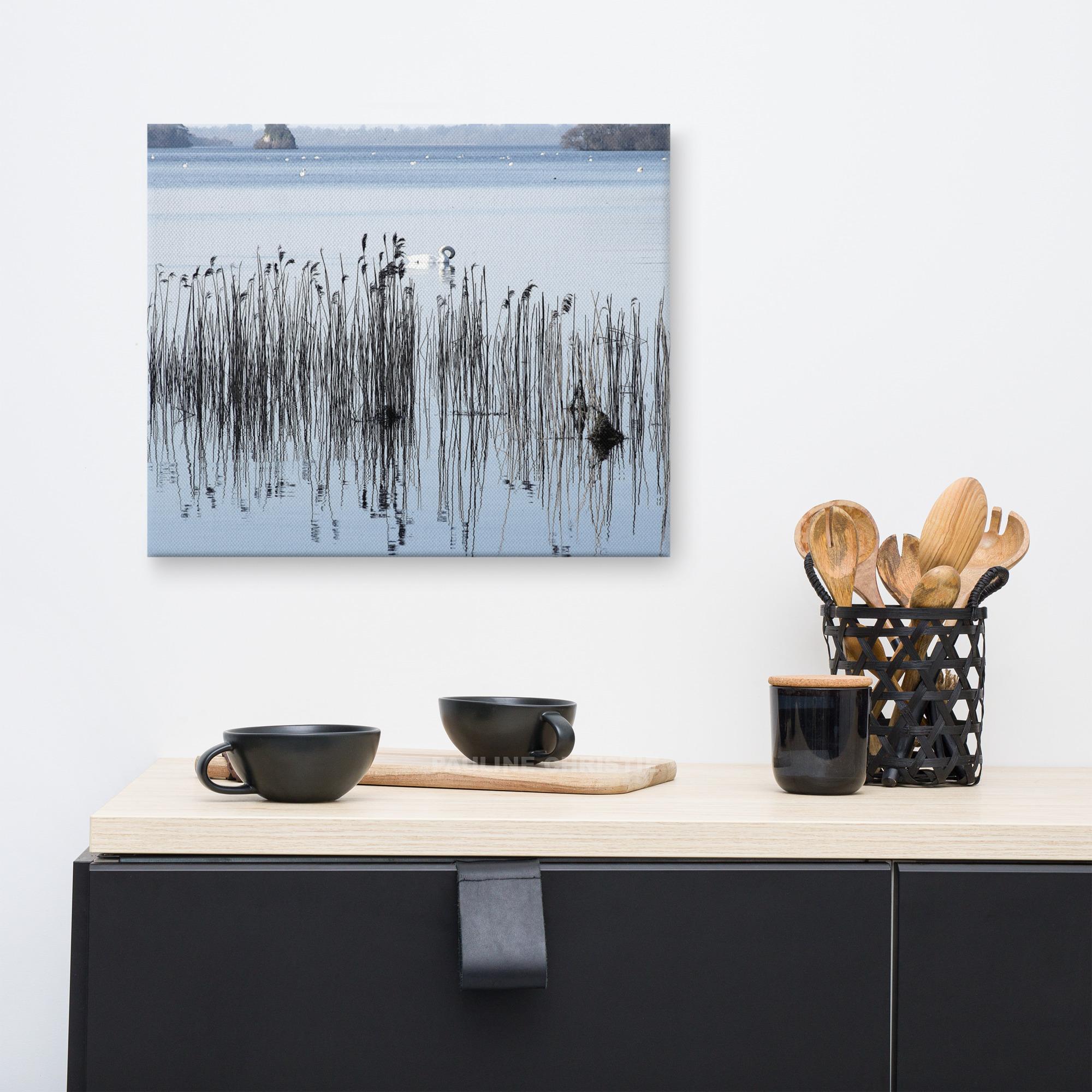 Swans on Killarney Lakes