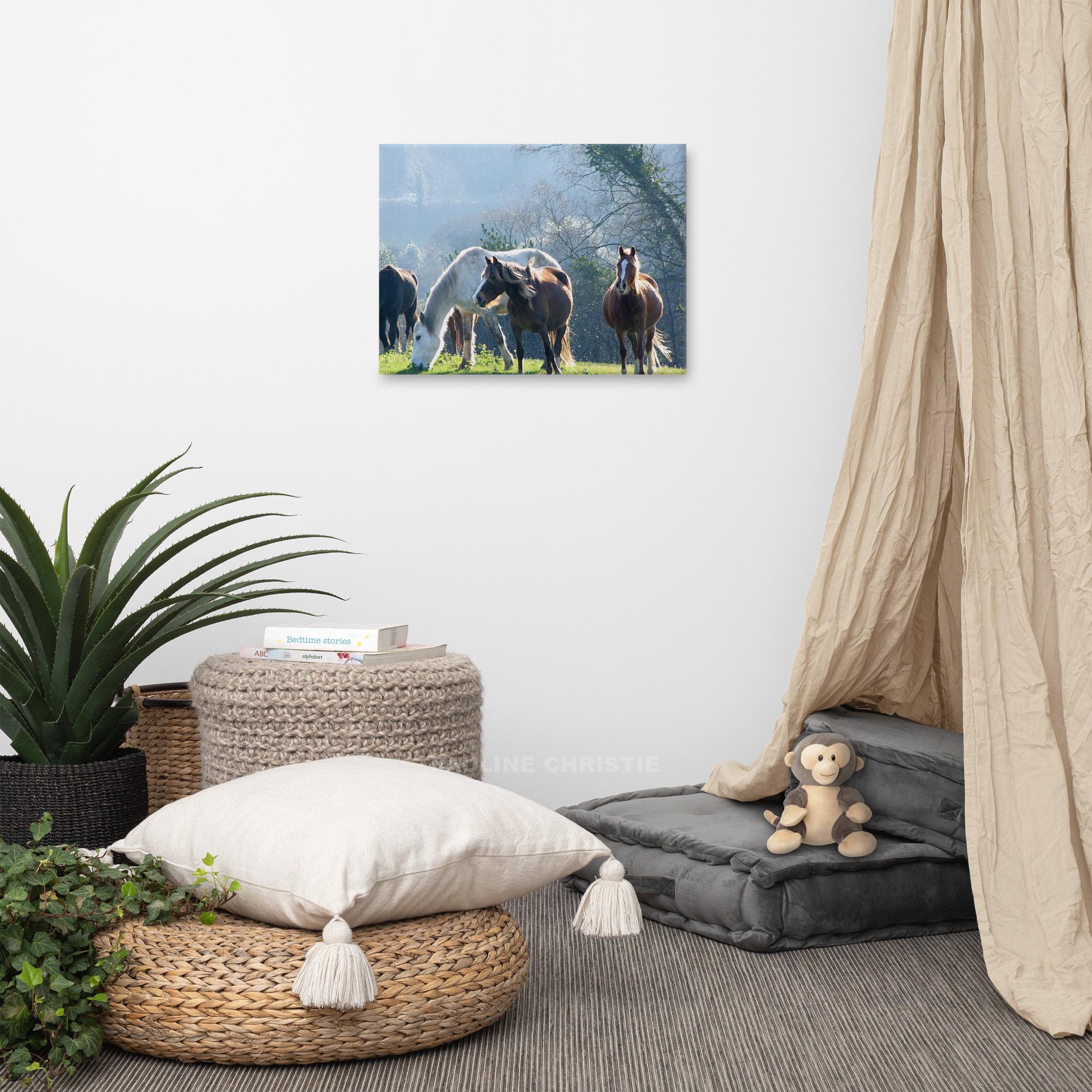 Canvas print of wild horses grazing in Kerry field, a beautiful nature scene.