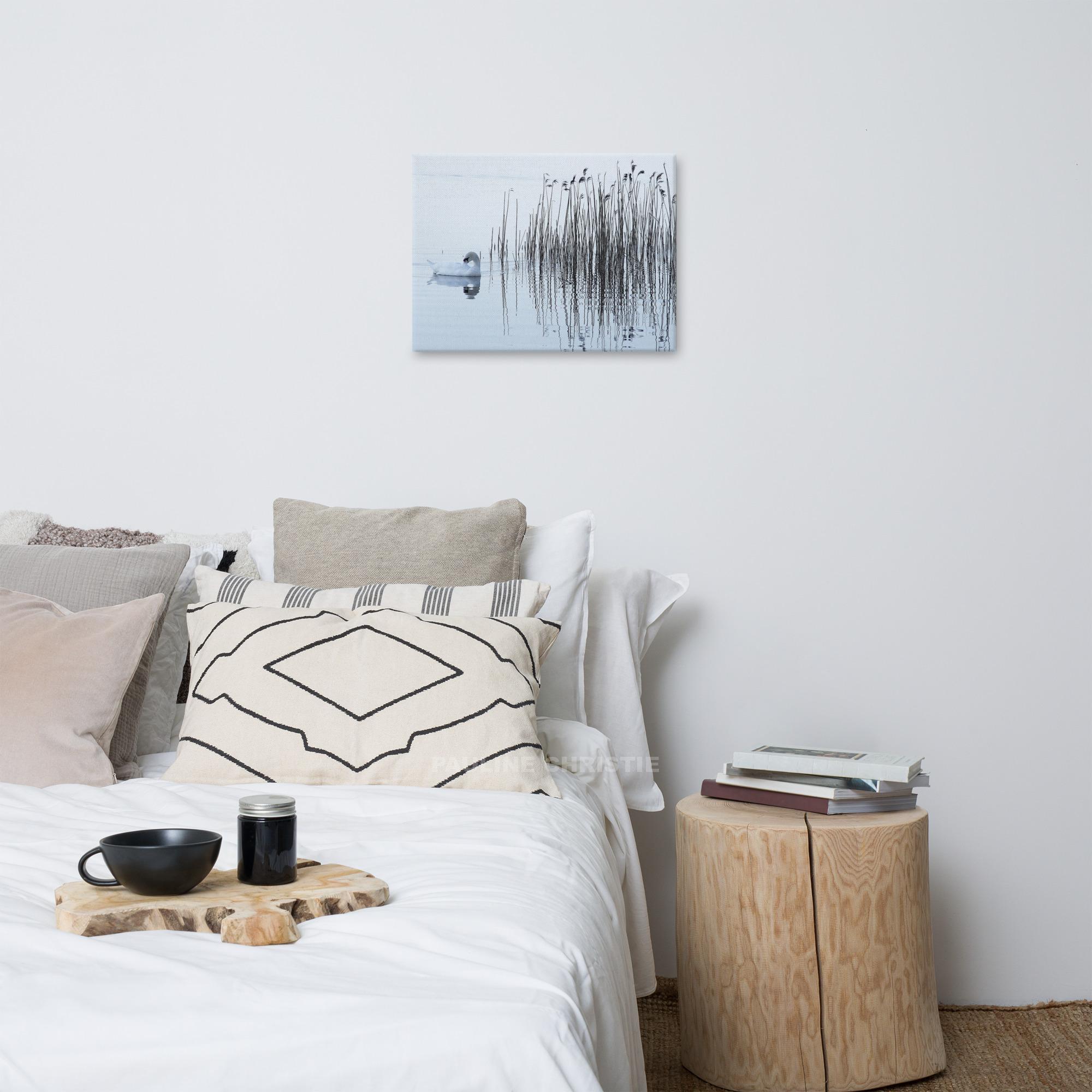 Swan swimming on Lough Leane, reeds in the background.