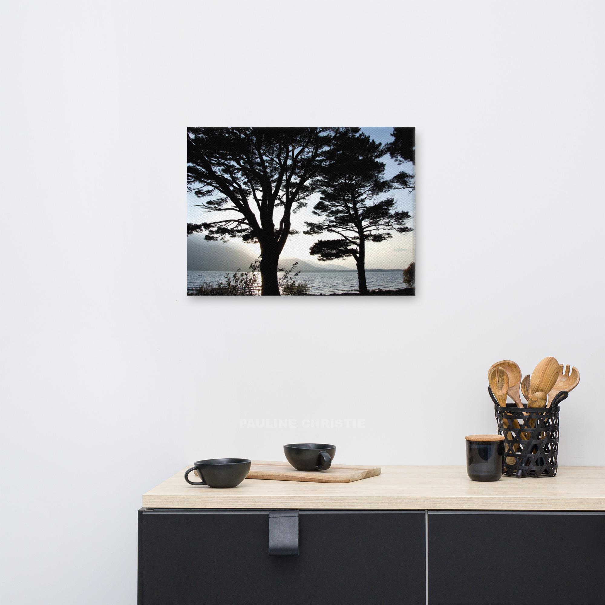 Silhouette of trees at Killarney with a lake and mountains in the background.