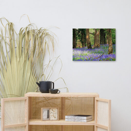 Bluebell Forest - Image 5