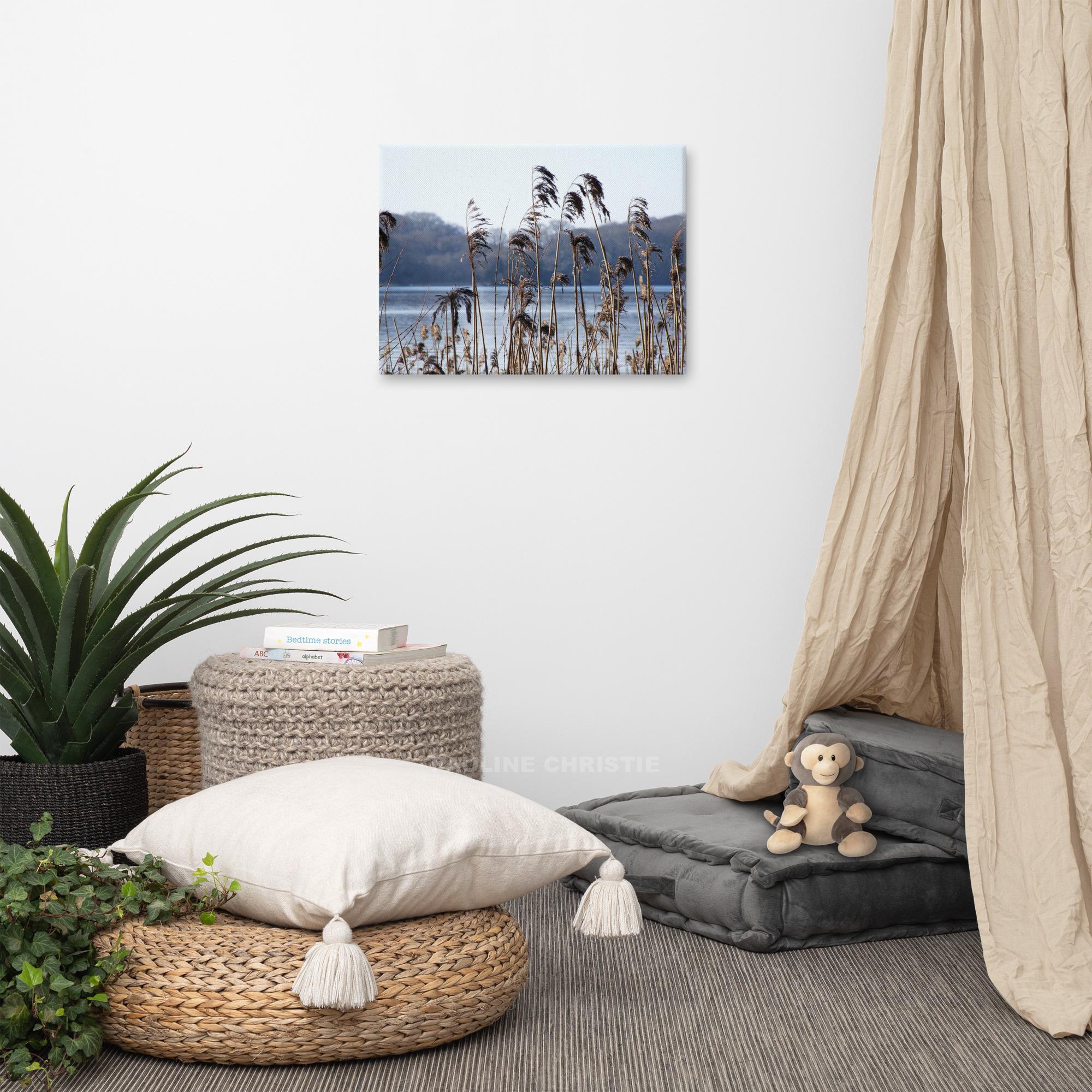 Reeds on Killarney Lakes