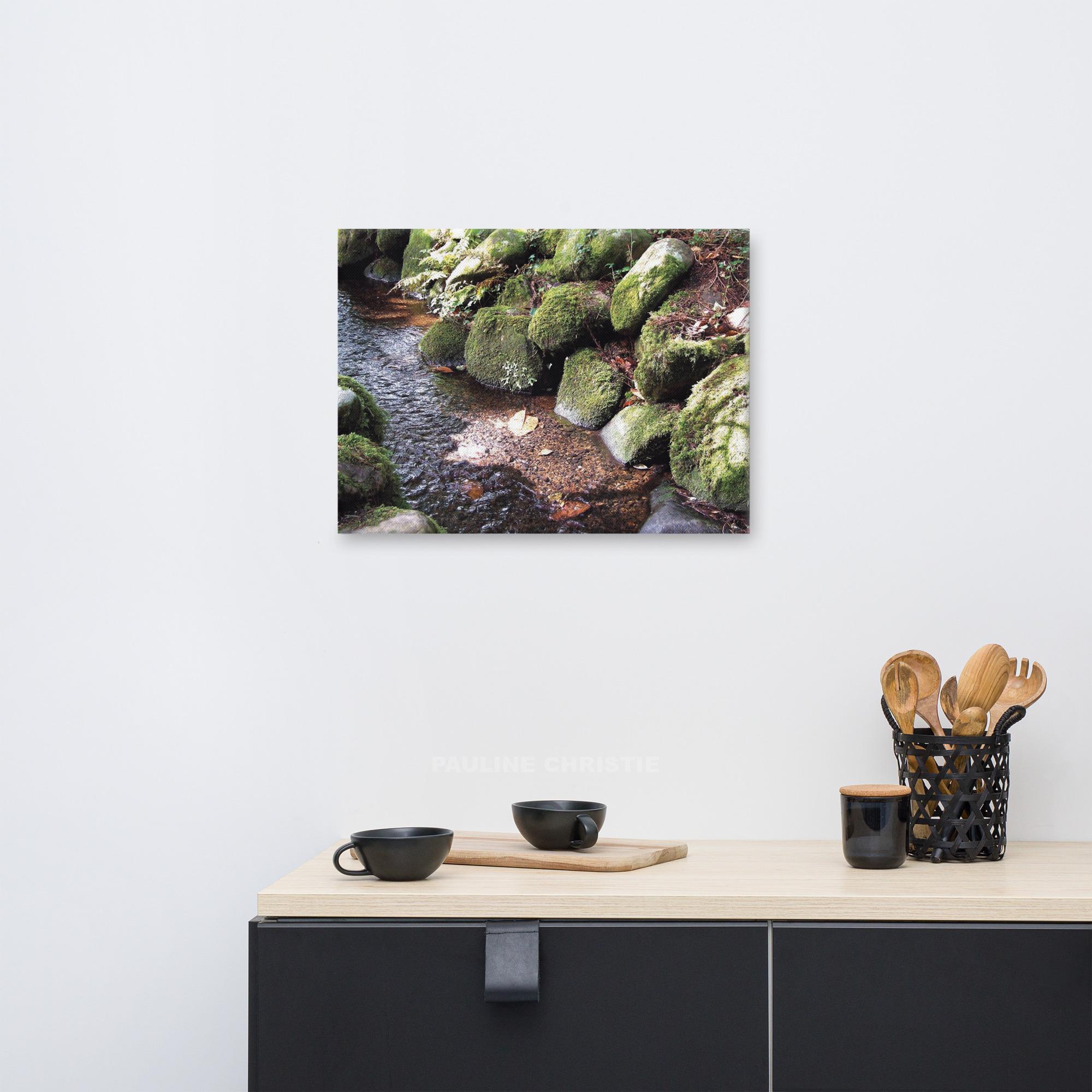 Stream in Killarney Forest
