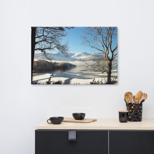 Winter Lake Scene