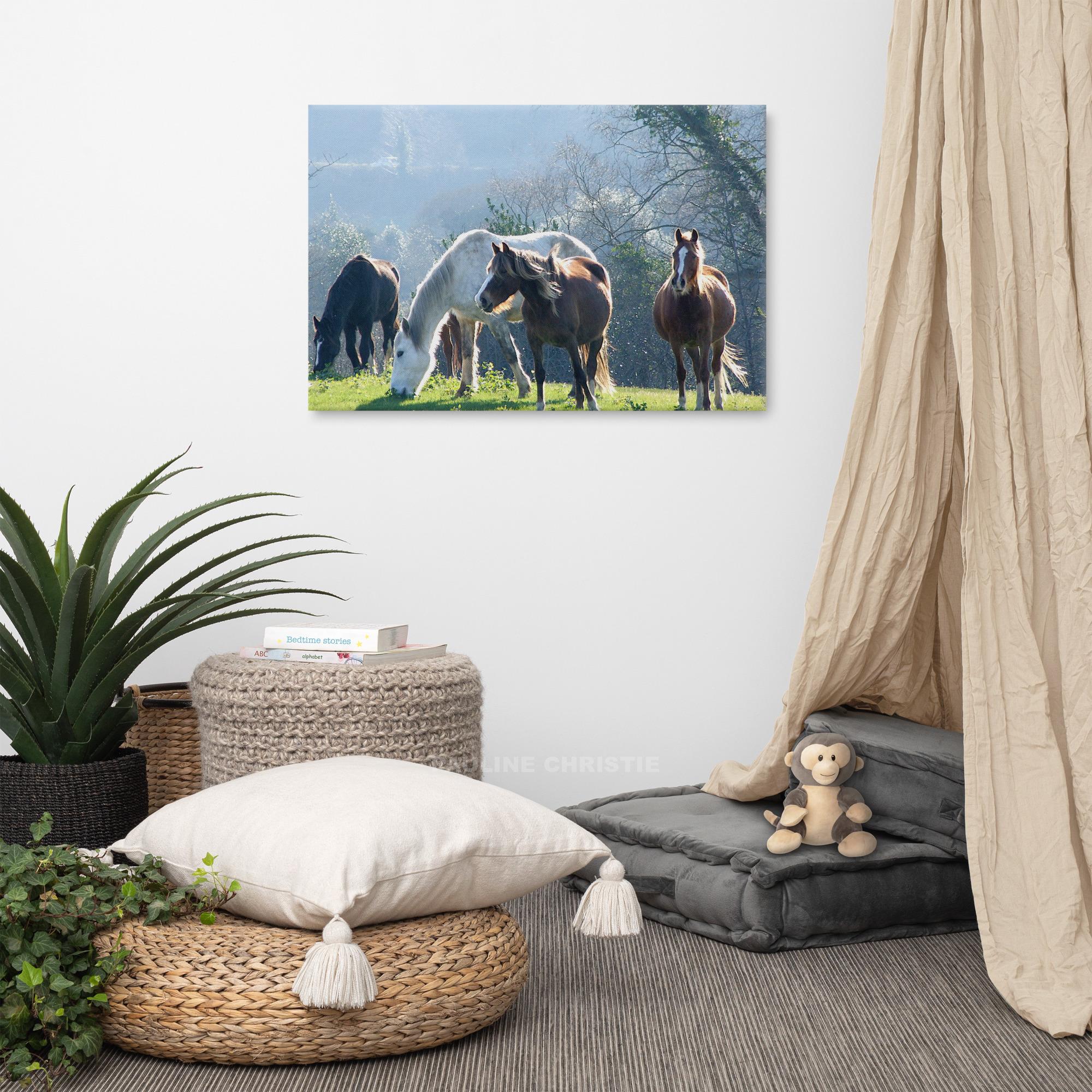 Canvas print of wild horses grazing in Kerry field, a beautiful nature scene.