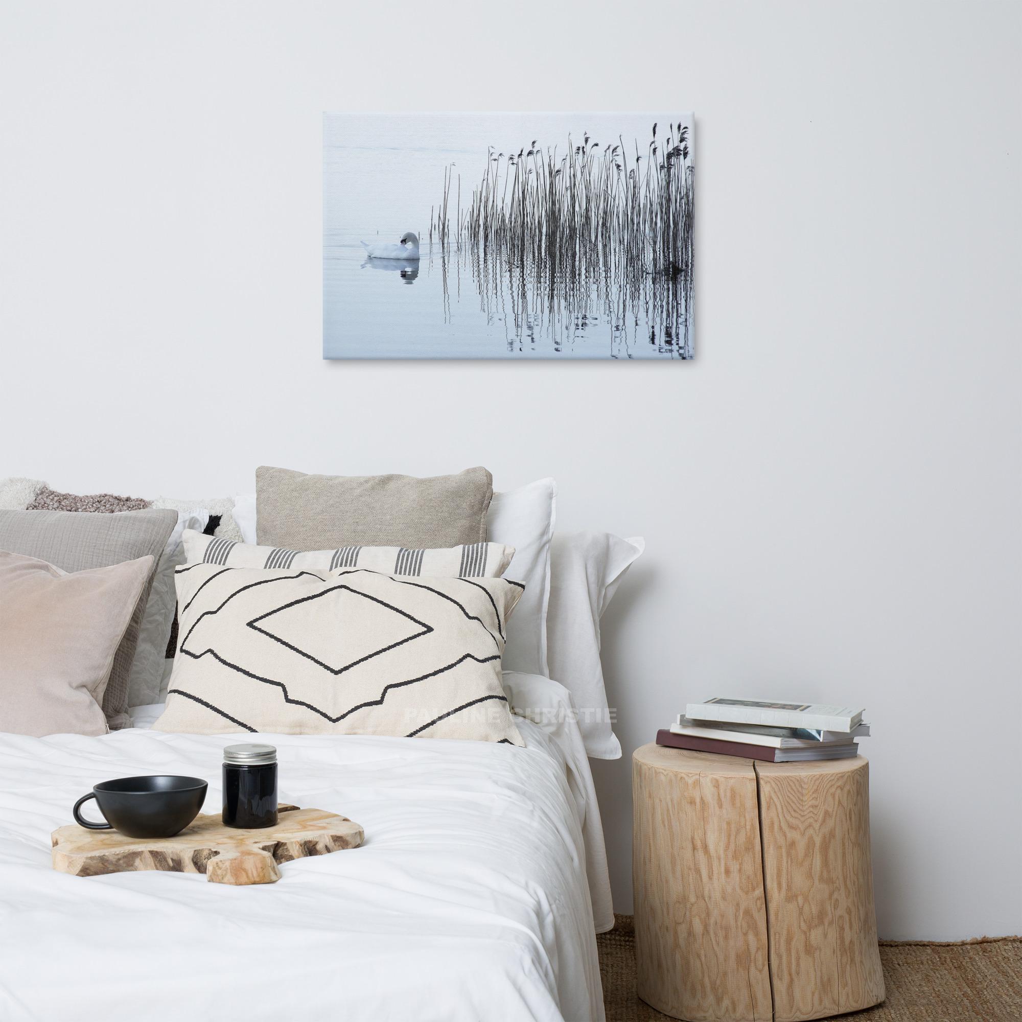 Swan swimming on Lough Leane, reeds in the background.