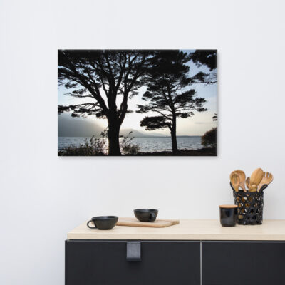 Silhouette of trees at Killarney with a lake and mountains in the background.