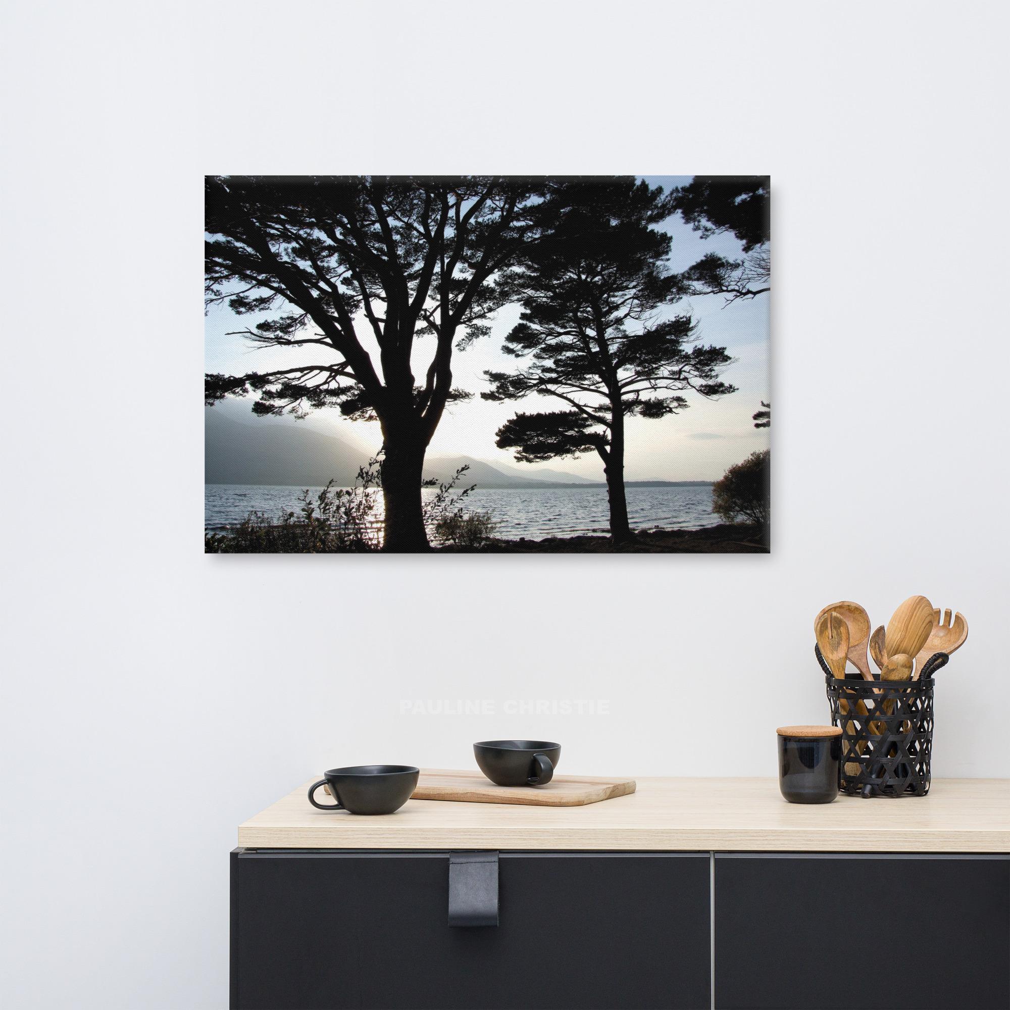 Silhouette of trees at Killarney with a lake and mountains in the background.