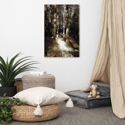 Sheen Woods in Kenmare, County Kerry