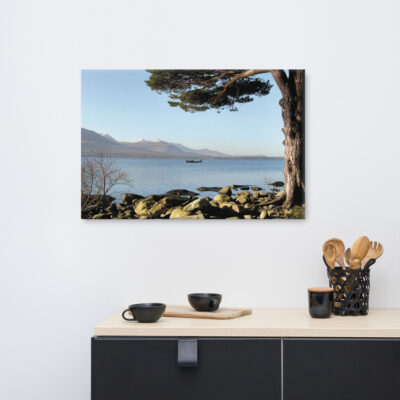 Killarney lake landscape with a lone boat, mountains, and a large tree.