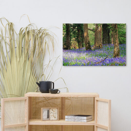 Bluebell Forest - Image 6
