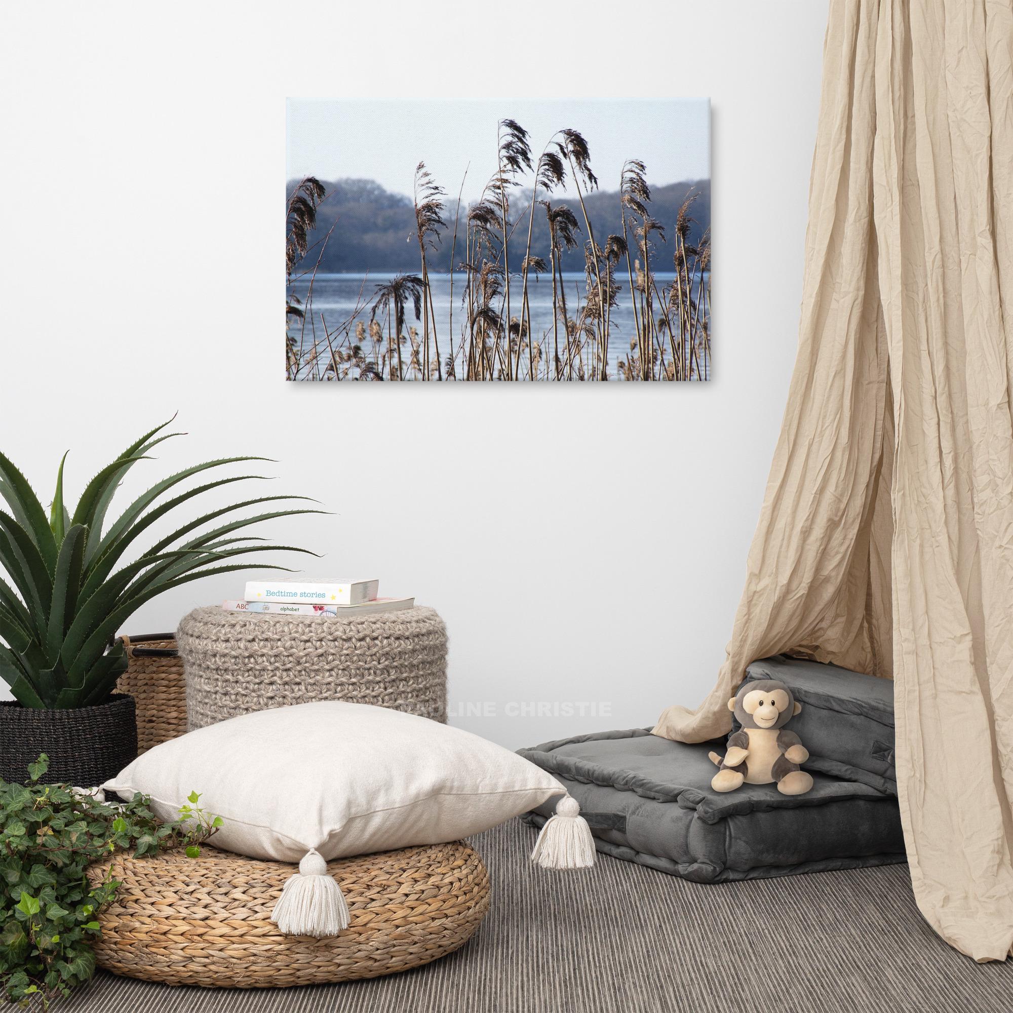 Reeds on Killarney Lakes